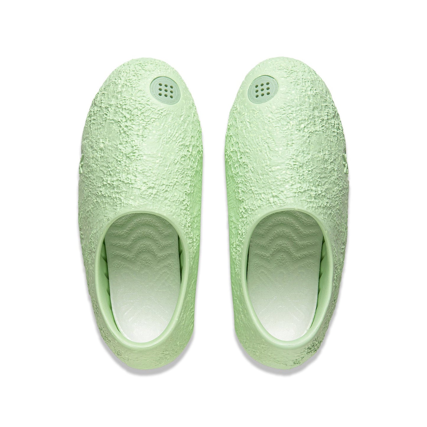 Lunar Rock "Avocado"
