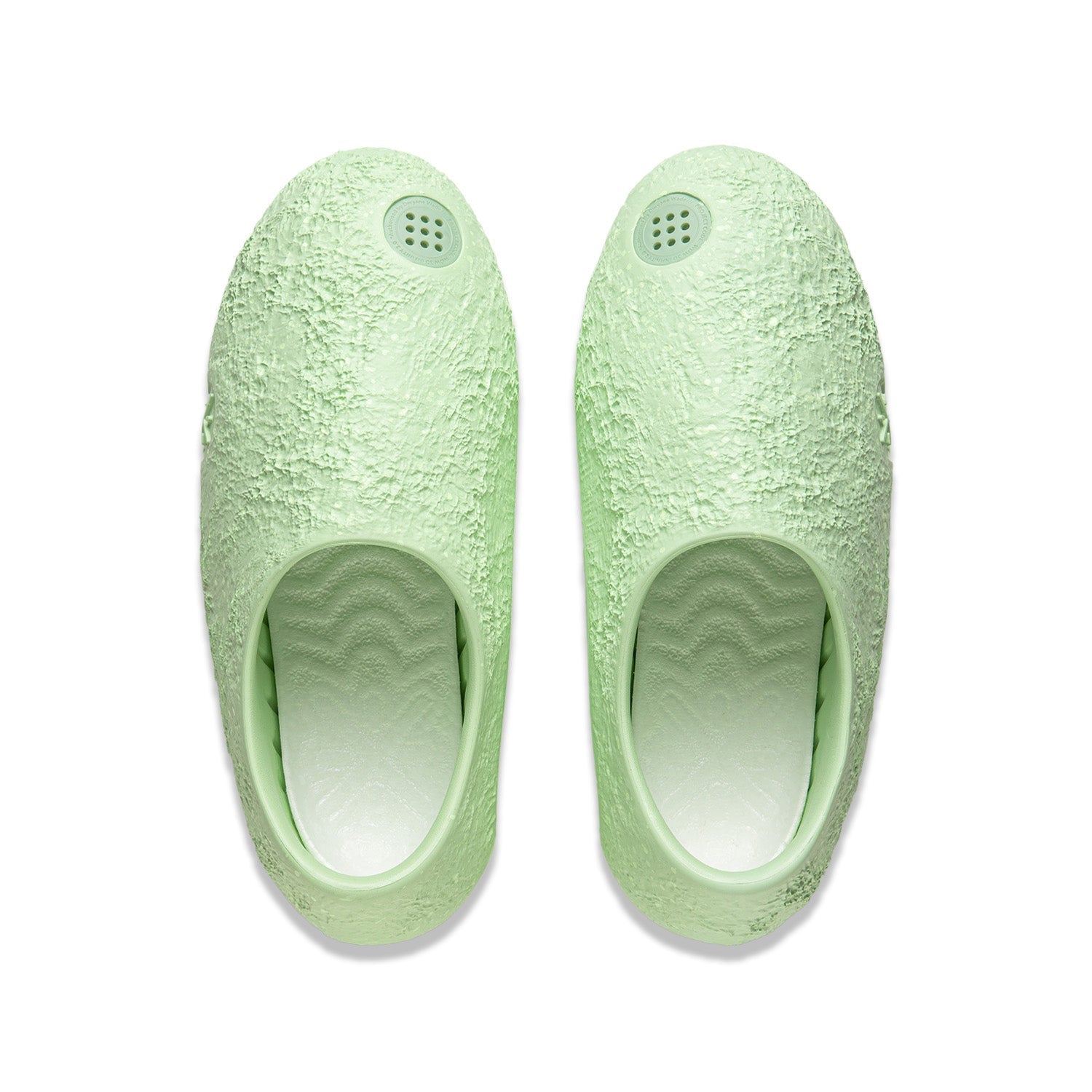 Lunar Rock "Avocado"